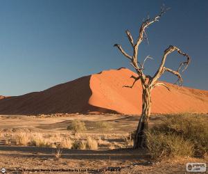 пазл Пустыня Намиб, Намибия
